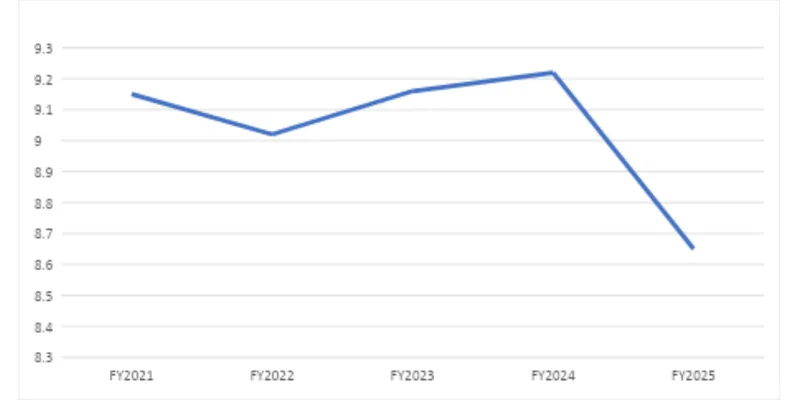 Financial Performance (FY2025 VS FY2024)